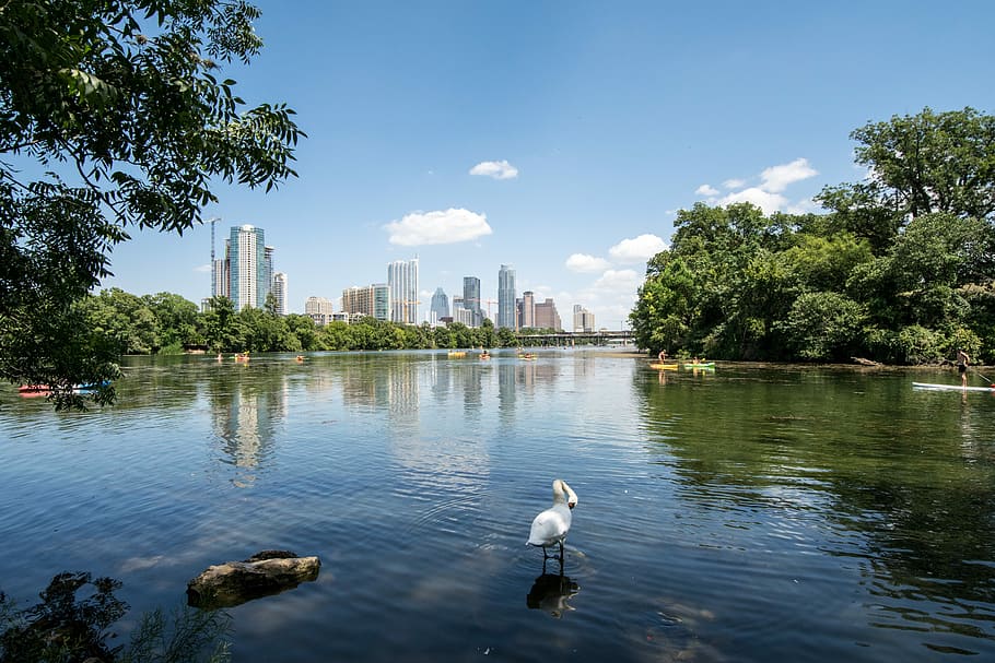 Austin Texas Lakeside View